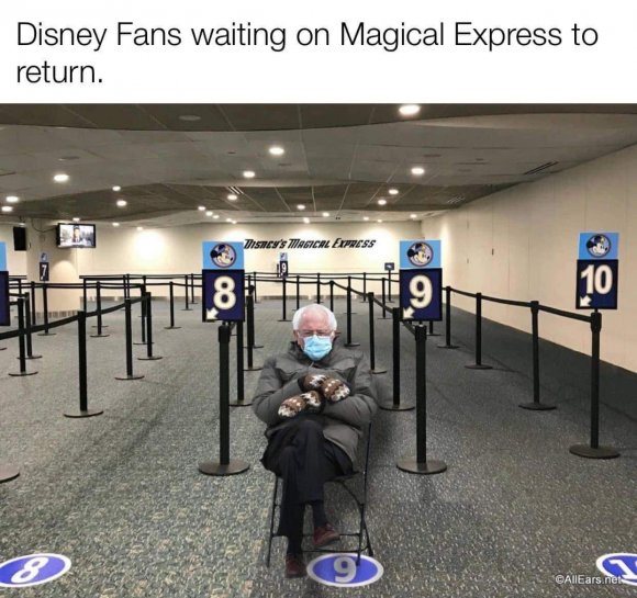 Mutt - 87BB33F1-A0ED-431B-BAFC-14C834CAAA3B