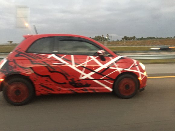 Mutt - B9D968D4-4968-4D58-A51D-6D8413612CE8