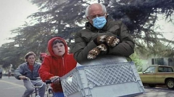 Mutt - D795243B-484E-4F11-81E2-135373BDC2F2