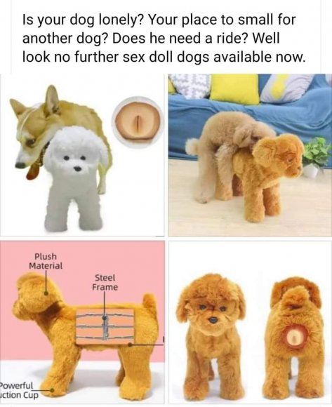 Mutt - F6E6E314-F930-40C0-85C4-61635C76F9D5