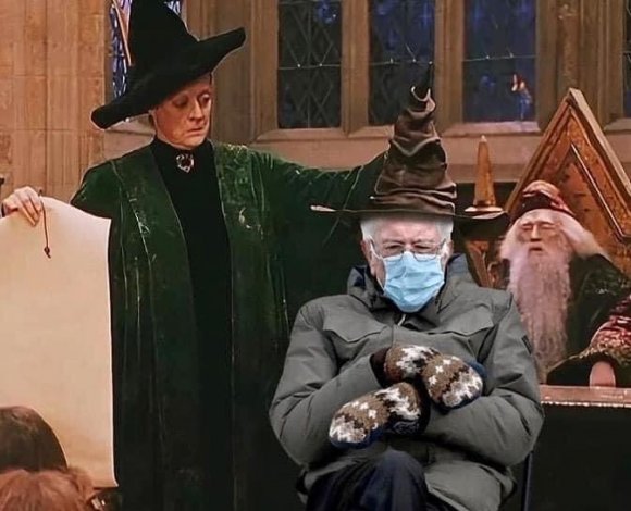 Mutt - FB90CA94-4F64-4379-95D3-C0687030D914