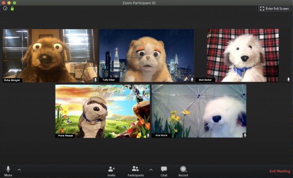 Showbiz Chuck - 0286B493-055A-424B-8089-A18096F61344