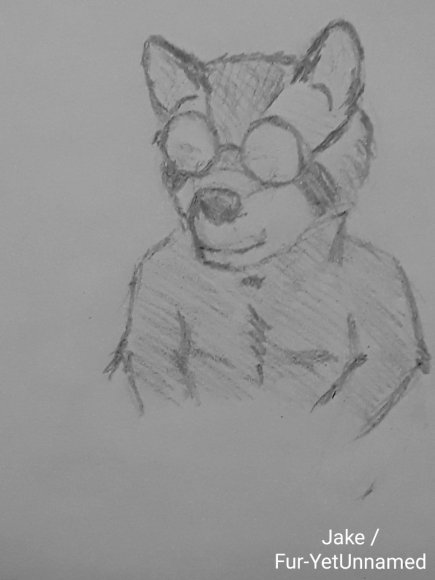 Jake - Rummage__byFur-YetUnnamed