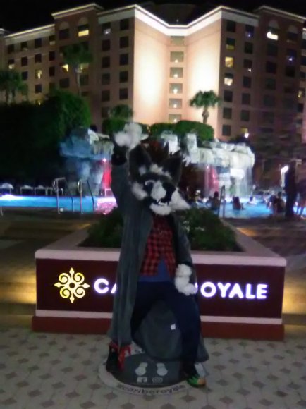 CRUNCH - 296798365_4935330126571765_7547592720683787420_n