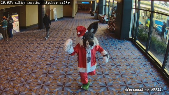 CRUNCH - 317873427_5256820334422741_7374549546543089626_n