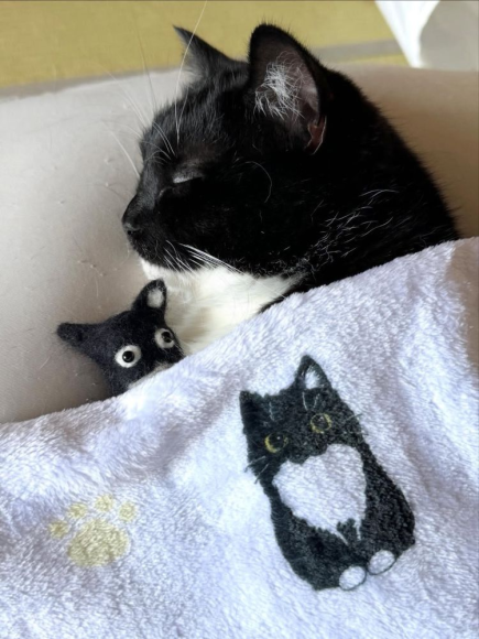 16f45538e392cc6d Scorch