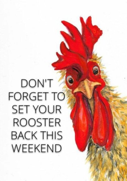 Reset Rooster Scorch