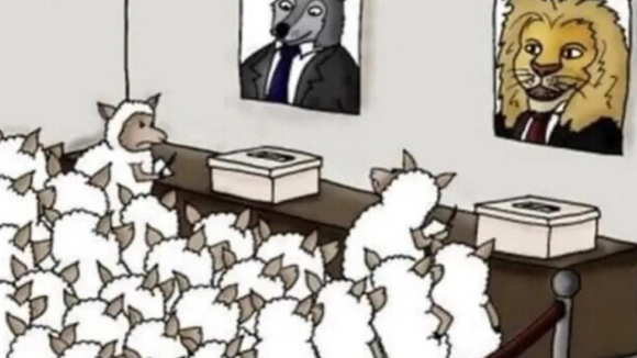 ba31509fe1c08593 Scorch