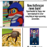 News63a_Washbear